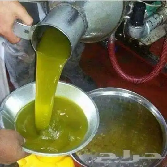زيت زيتون فلسطيني بكر بعل لكل أرجاء السعودية 16