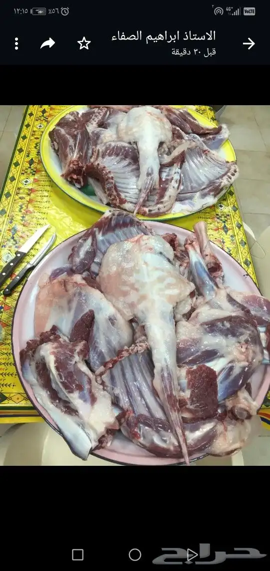 ابو عمر للذبايح فاخر من الاخر 27