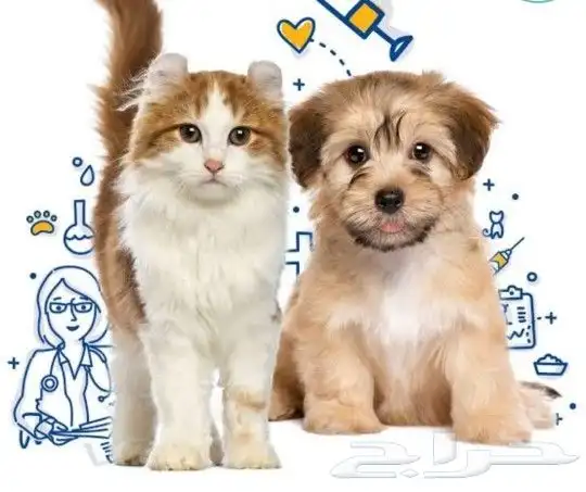 عياده بيطريه متنقله 0