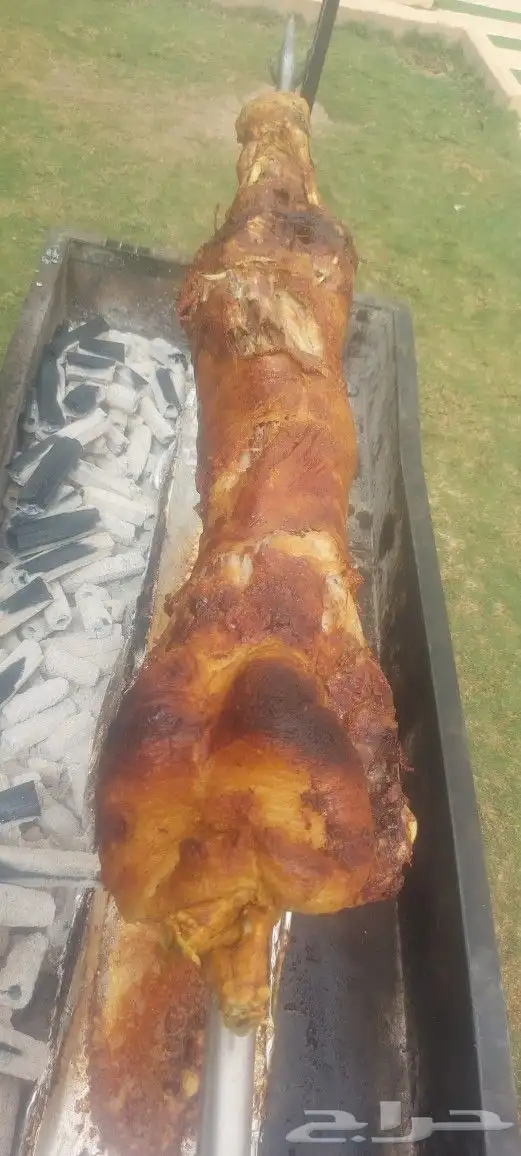 خروف على الجمر 1