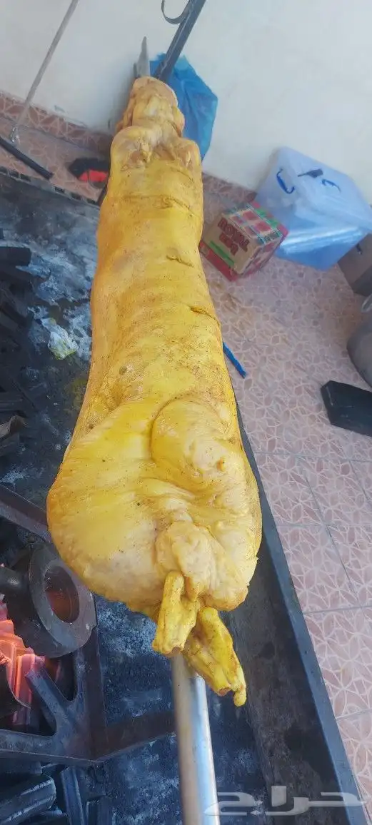 خروف على الجمر 7