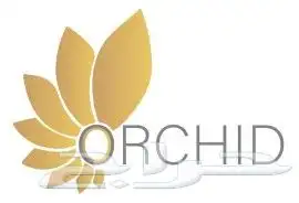 تصميم شعارات إحترافية (  logo -  شعار  علامة_تجارية ) 7