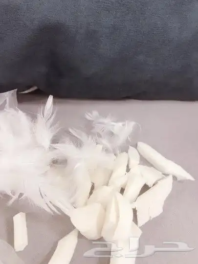 كنب  كنبات  منزلي  مكتبي  مودرن  كلاسك أثاث ت 18