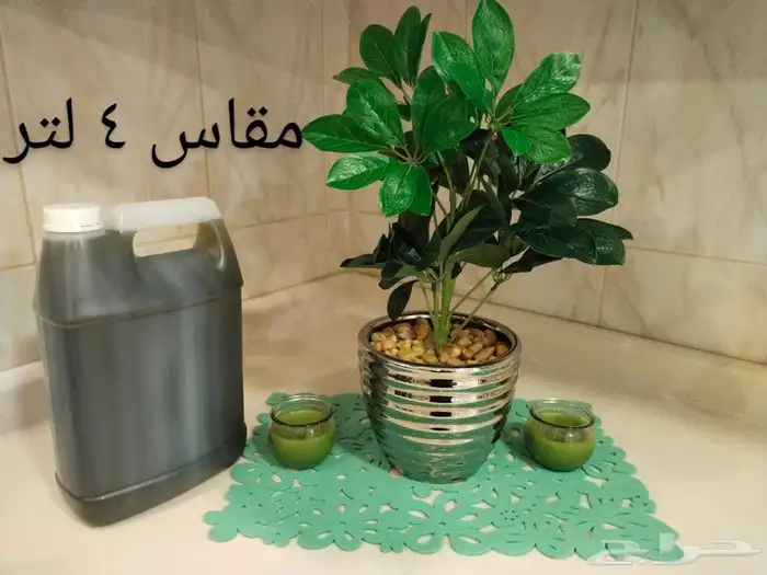 زيت زيتون فلسطيني بكر بعل لكل أرجاء السعودية 35