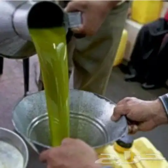 زيت زيتون فلسطيني بكر بعل لكل أرجاء السعودية 15