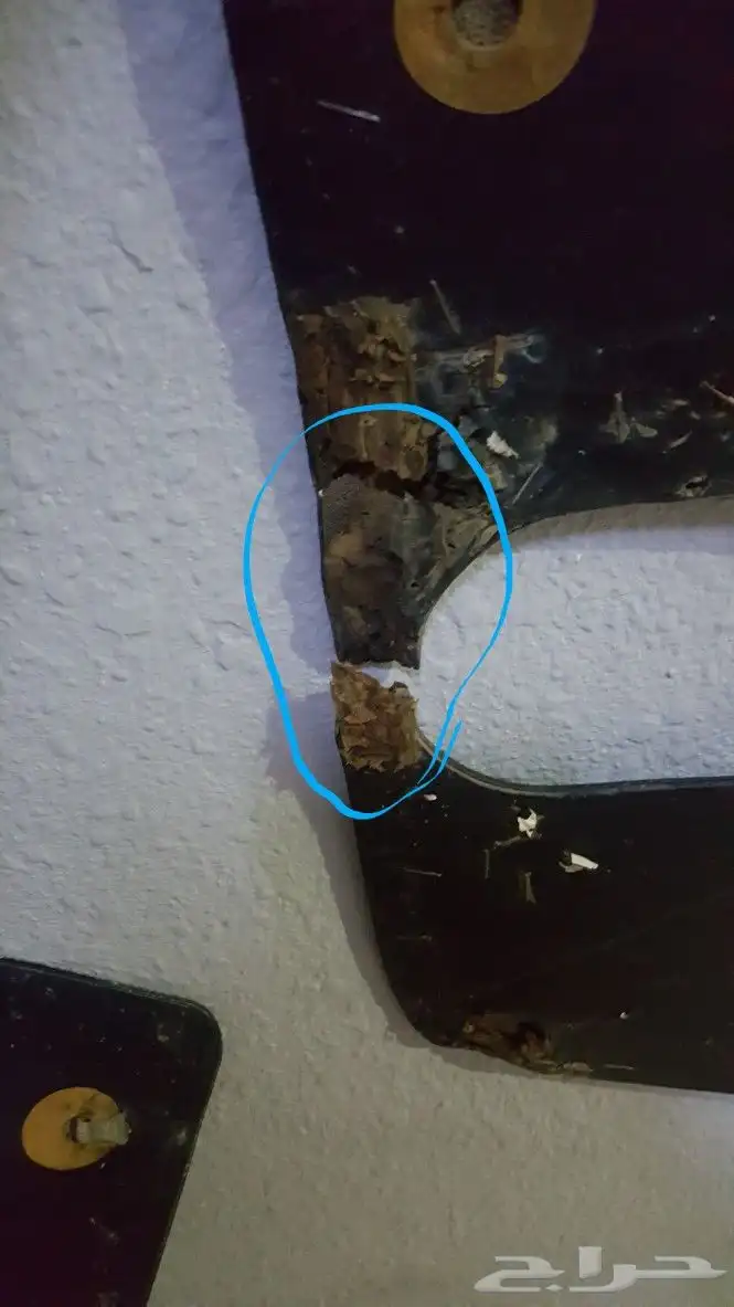 فرش باب بوز مستعمل اصلي 3