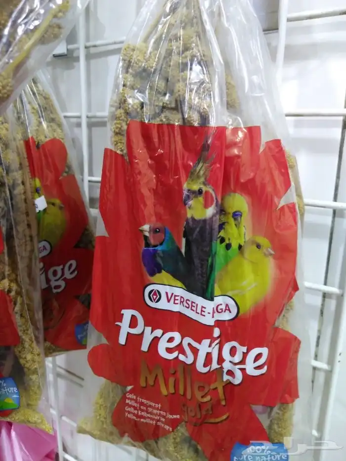 اكل حمام  أرانب  نشار خشب  دخن 3
