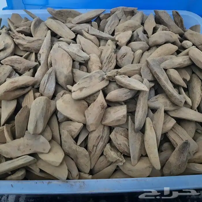 عود مروكي طبيعي محسن فاخر 0