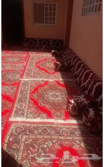 تاجير فرشات وخيم وبيوت شعر 8