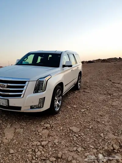 للبيع كدلك اسكاليد فل ك مديل 2015 دفعة ثانية 78