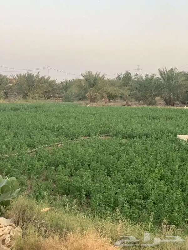 استراحه 10شارعيين الرحمانيه الخرج الرياض 0