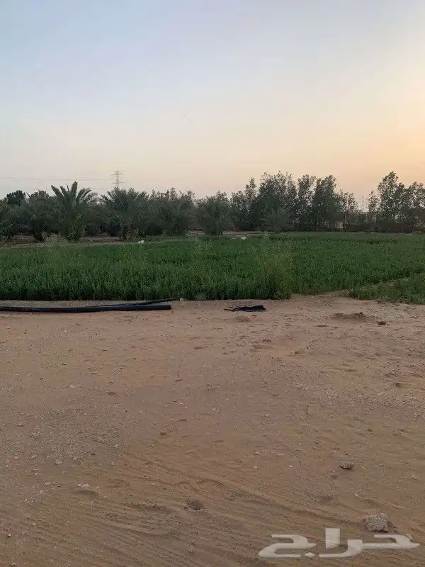 استراحه 10شارعيين الرحمانيه الخرج الرياض 2