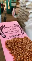 قمح معيه القصيم انتاج مزرعتنا 0