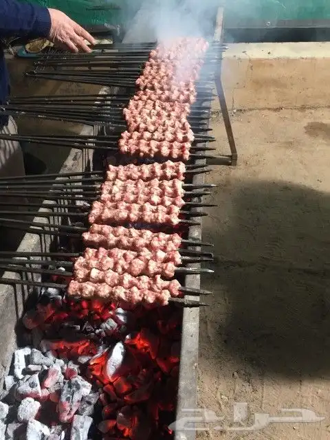 شوي خارجي مشاوي مشويات شواء الدمام شيف عماد 48