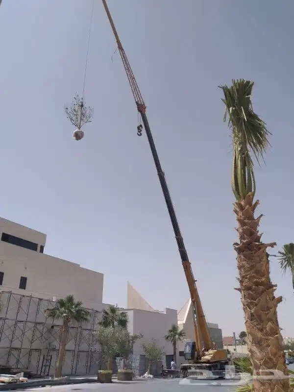 كرين وسطحه ونش للإيجار الرياض رافعه سله 0