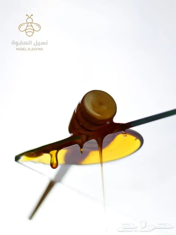 مصورة اطعمة ومشروبات 6