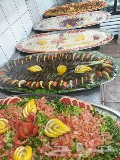 شوي خارجي مشاوي شوي خارجي شيف عماد 0556016338 6
