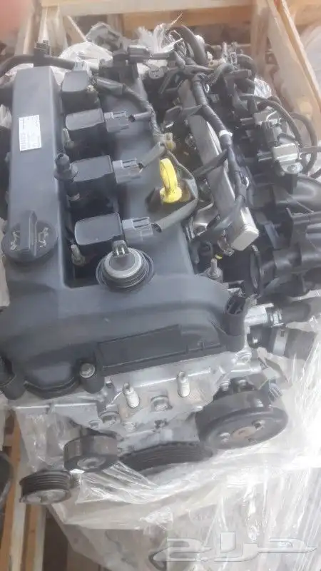 مكاين وقيور ودبلات 10