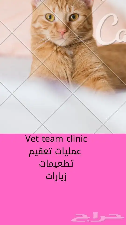 عياده بيطريه متنقله 1