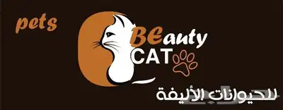 تزاوج قطط وفندقه وخدمات لمدة محدوده 2