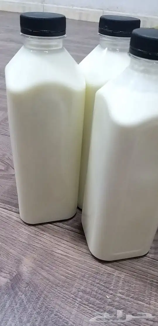 حليب لبن لبنة جبن زبادي زبدة مضير ماعز خلفات 22