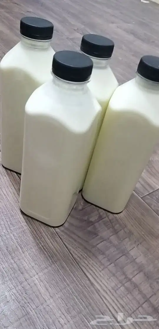 حليب زبدة غنم لبن بقر جبن زبادي لبنة بلدي سمن 18