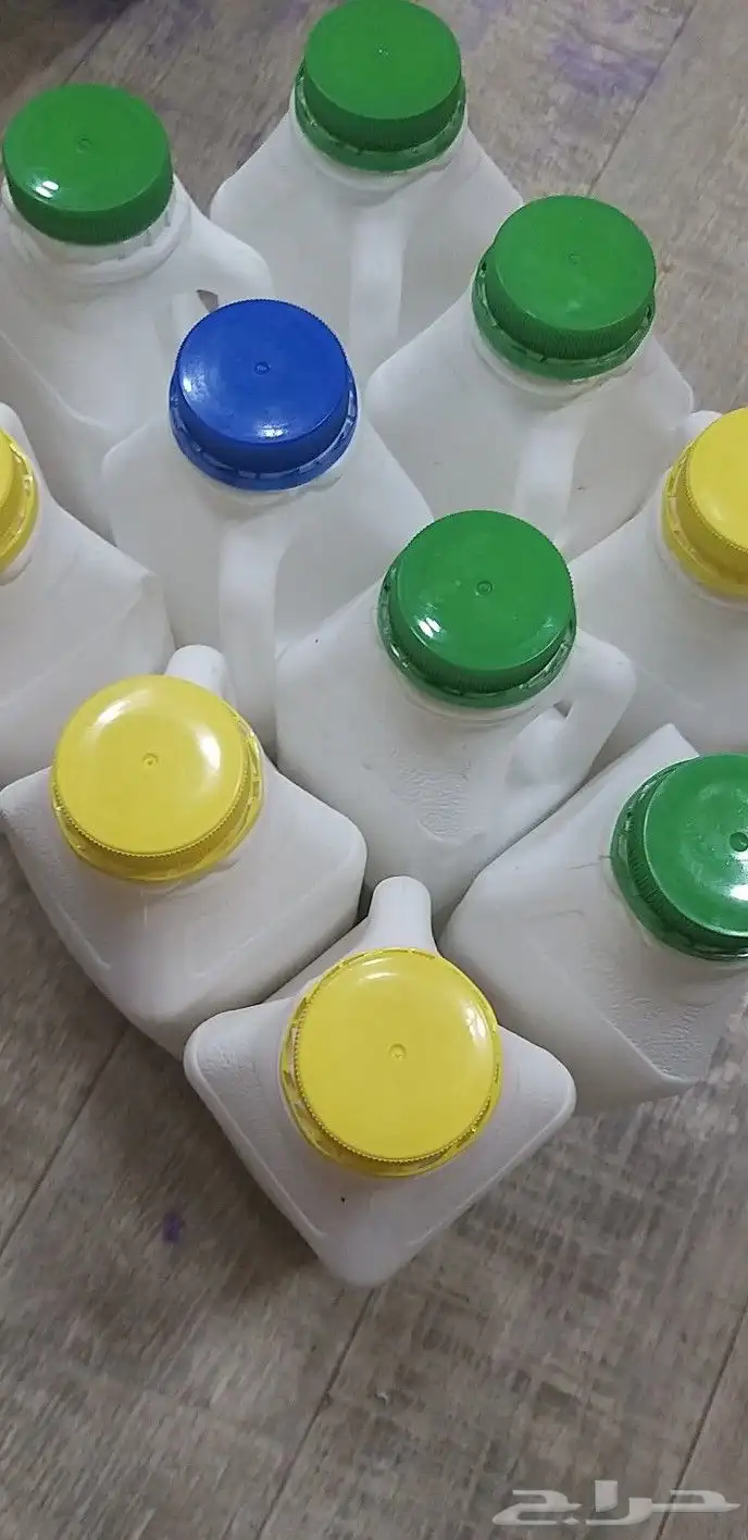 حليب زبدة غنم لبن بقر جبن زبادي لبنة بلدي سمن 5