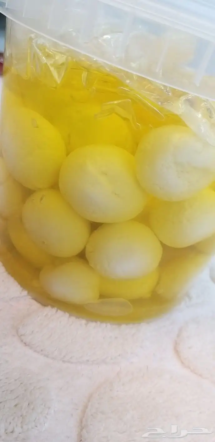 حليب لبن لبنة جبن زبادي زبدة مضير ماعز خلفات 17