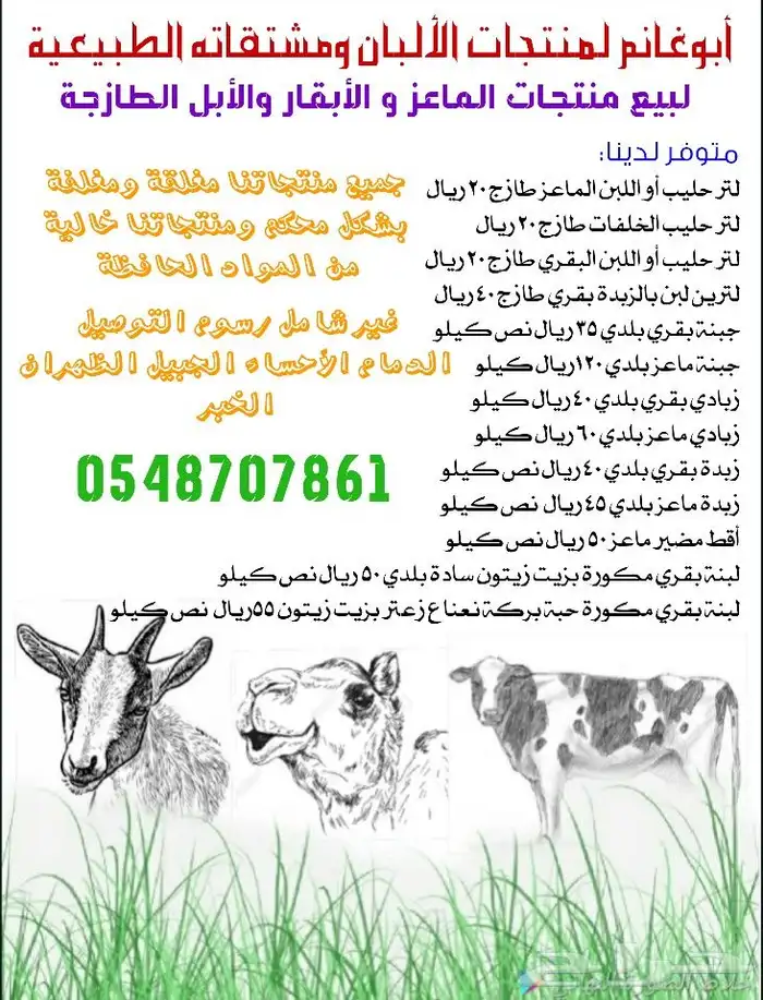 لبن غنم حليب ماعز لبن بقر حليب بقر خلفات زبدة 1