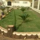 لنحت الأشجار واحواض الزراعه 4