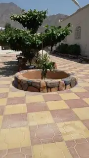 لنحت الأشجار واحواض الزراعه 5