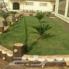 لنحت الأشجار واحواض الزراعه 3