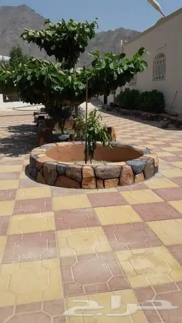 لنحت الأشجار واحواض الزراعه 1