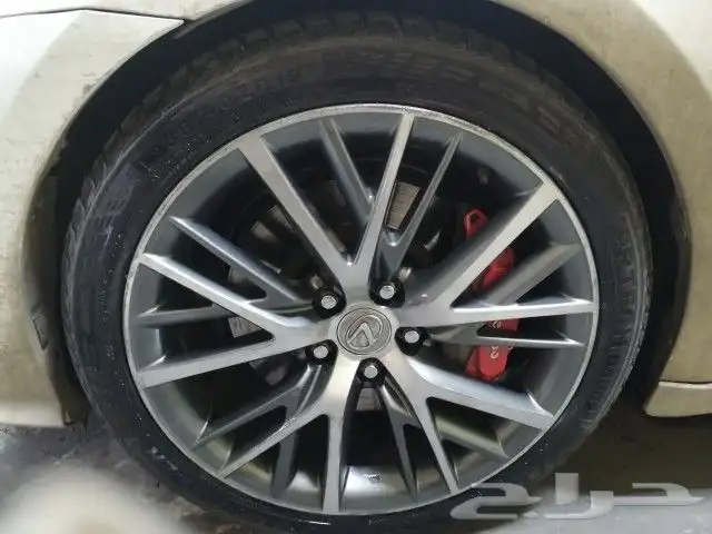 رش جنوط ورش كليبرات 12