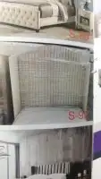 اسره مرتبه جدريات تفصيل حسب الطلب 21