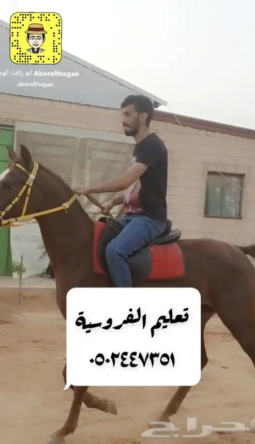 تعليم الفروسية 6