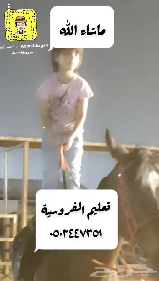 تعليم الفروسية 3