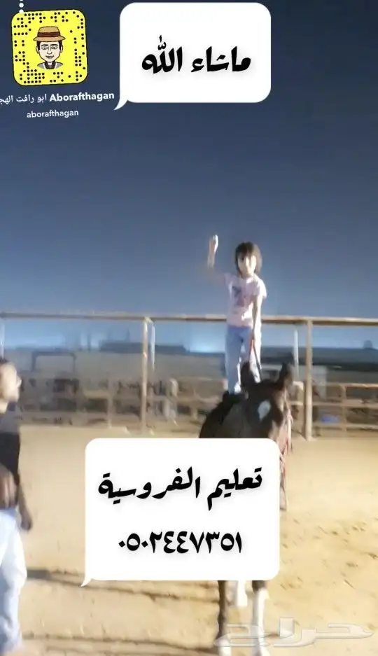 تعليم الفروسية 0