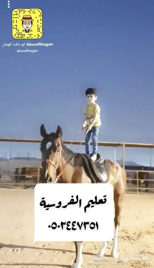 تعليم الفروسية 4