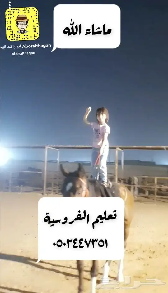 تعليم الفروسية 2