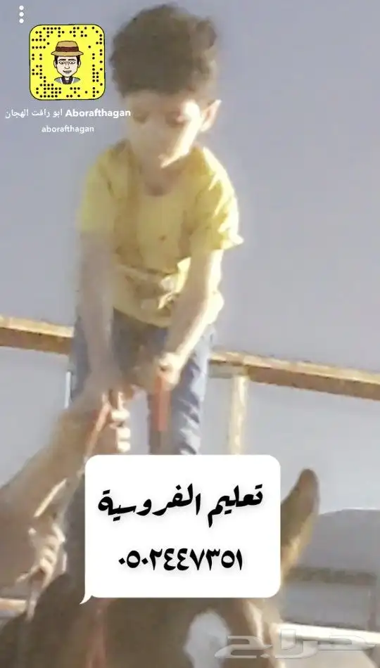 تعليم الفروسية 5