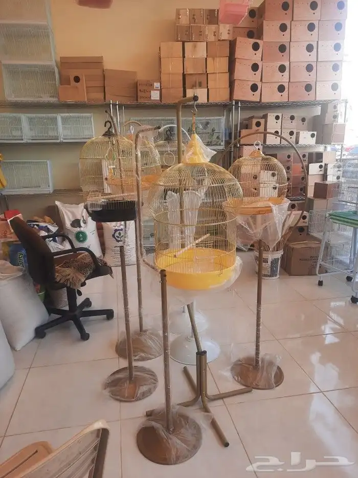 مستلزمات وفيتامينات كروان كاسكو مكاو بلوفرنت 4