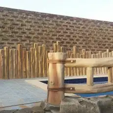 رسام ونحات ومصمم شلالات ونوافير وتصميم حدائق 35