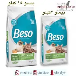اكل قطط رويال بريتش بنغال راغدول ماين كون 62