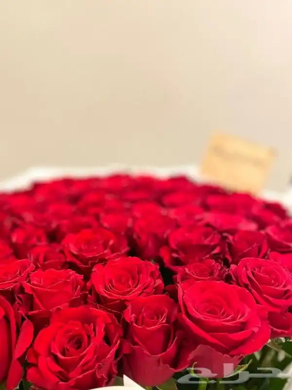 هداياكم حسب طلبكم لإيصال مشاعركم بكل حب 4