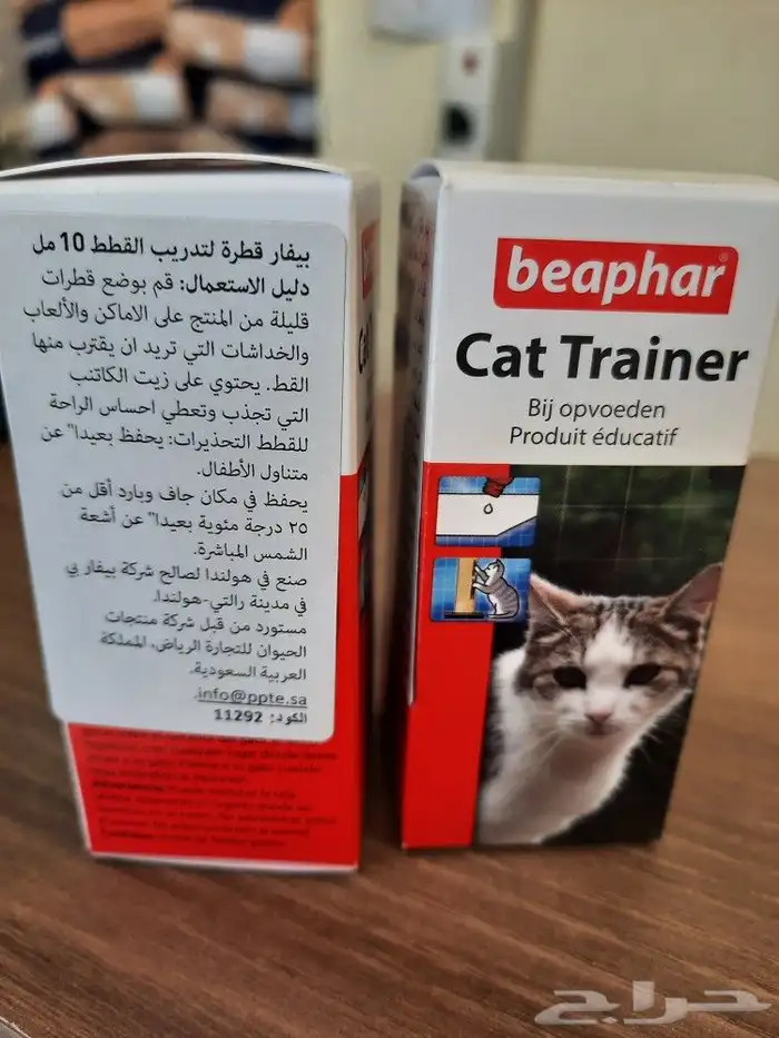 اكل قطط رويال بريتش بنغال راغدول ماين كون 36