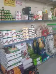 اغراض ومستلزمات طيور وقطط كروان هملايا سيامي 72