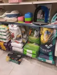 اغراض ومستلزمات طيور وقطط كروان هملايا سيامي 77