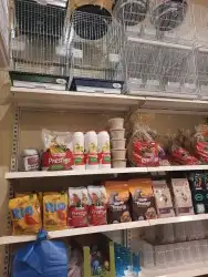 اغراض ومستلزمات طيور وقطط كروان هملايا سيامي 79