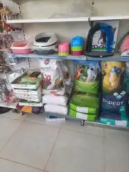 اغراض ومستلزمات طيور وقطط كروان هملايا سيامي 88